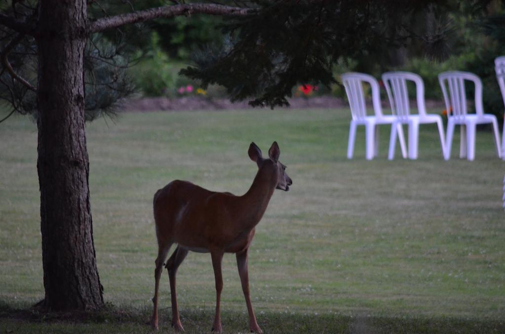 Briarwood Bed & Breakfast Elmsdale 외부 사진