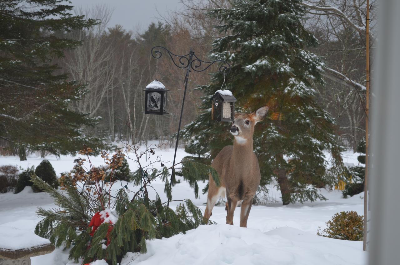 Briarwood Bed & Breakfast Elmsdale 객실 사진