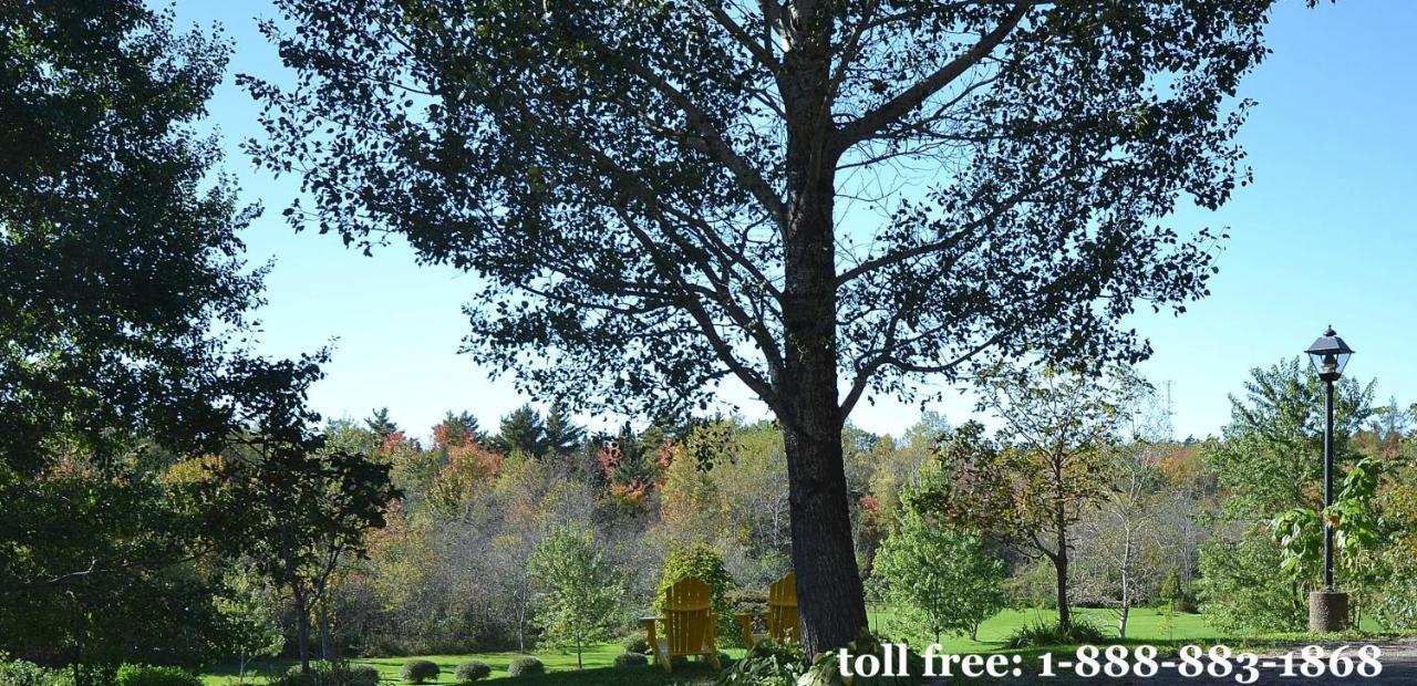 Briarwood Bed & Breakfast Elmsdale 객실 사진
